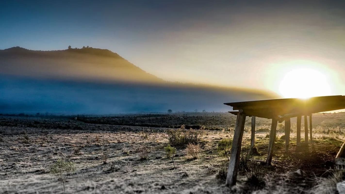 Paisagem rural ao amanhecer com geada cobrindo o campo