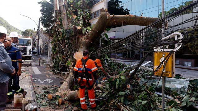 Trabalhadores de capacete e uniforme laranja cortam com motosserra uma árvore de grande porte que caiu sobre a fiação elétrica em uma rua do Rio de Janeiro