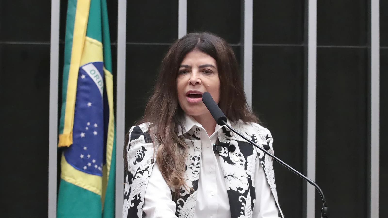 Antônia Lúcia discursa no plenário da Câmara dos Deputados, com a bandeira do Brasil ao fundo
