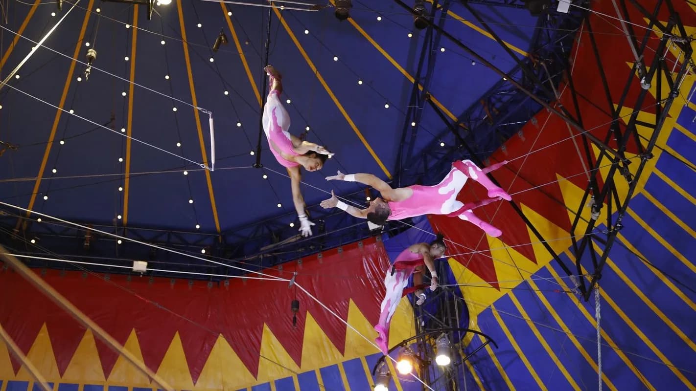 Trapezistas de circo em apresentação sob lona, foto de arquivo ilustrativa do setor cultural