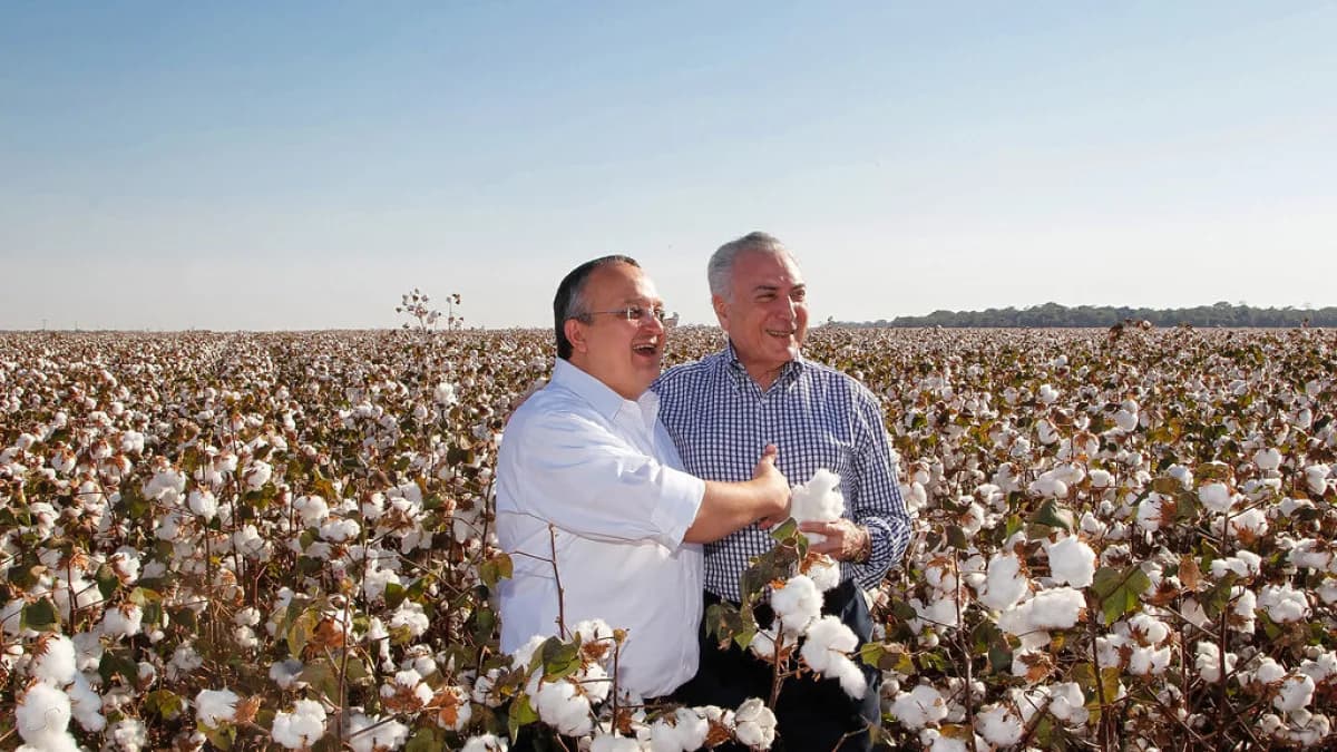 Visita a plantação de algodão durante abertura de colheita em Mato Grosso