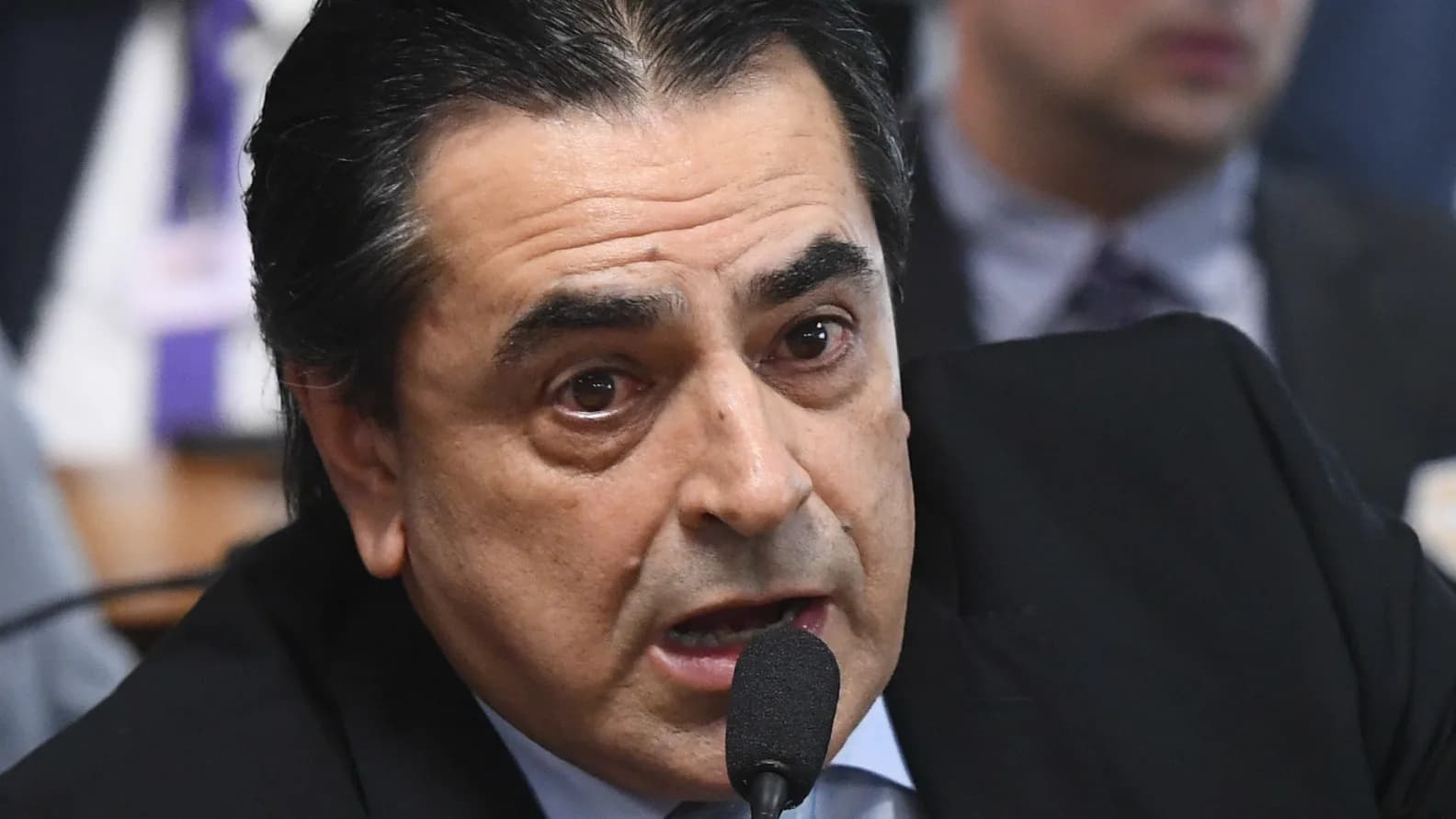 Domingos Sávio fala ao microfone durante sessão no Senado Federal