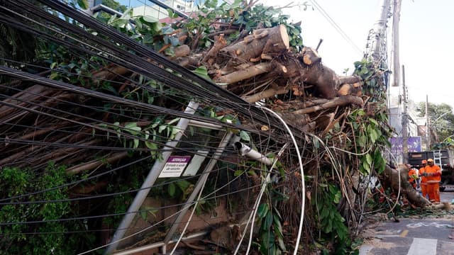 Árvore de grande porte tombada sobre a fiação elétrica e sobre um portão destruído em rua de Botafogo, no Rio de Janeiro, com equipe de uniforme laranja removendo os galhos ao fundo