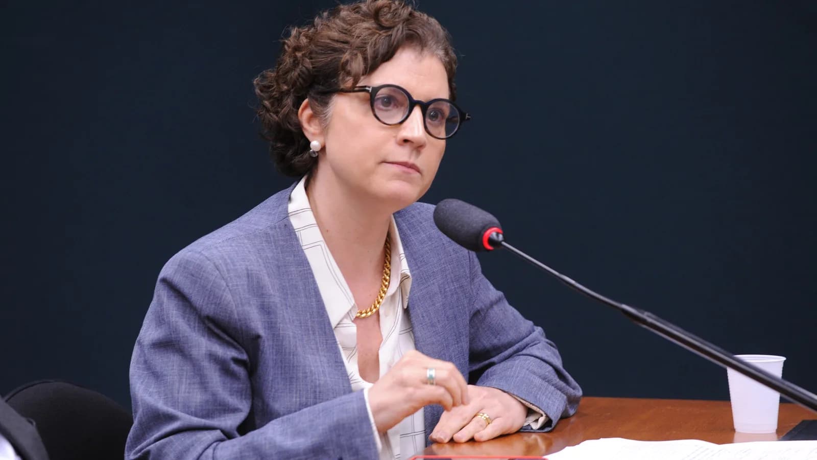 Audiência pública na Câmara dos Deputados sobre royalties da soja