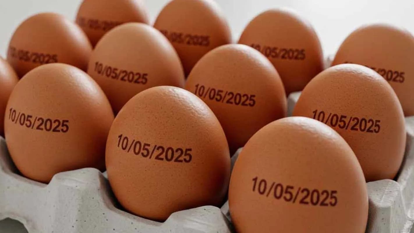 Ovos com data de validade impressa em caixa de papelão, foto ilustrativa