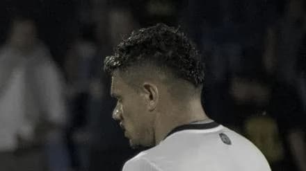 Tiquinho Soares em campo com a camisa branca do Botafogo (foto de arquivo, outubro de 2024)