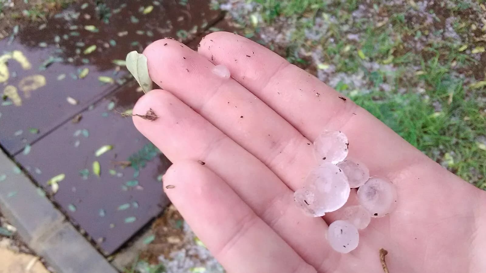 Mão segurando pedras de granizo sobre grama, imagem de arquivo de outra ocorrência
