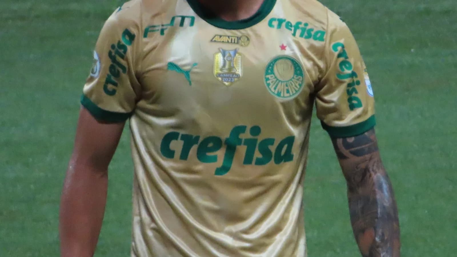 Jogador do Palmeiras em disputa de bola em partida contra o Criciúma (foto de arquivo, setembro de 2024, não é o jogo contra o Operário-PR)