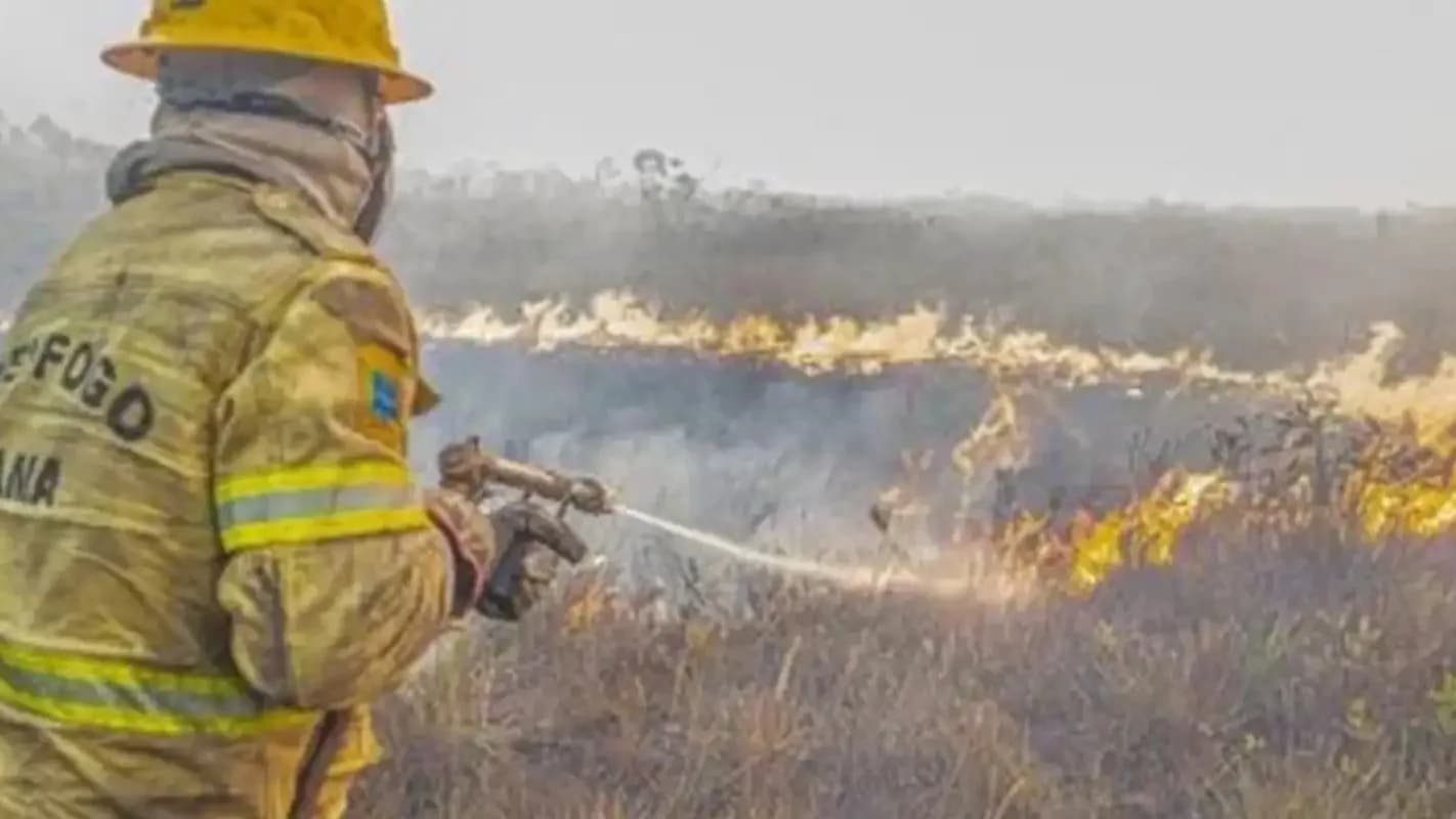 Brigadista combate incêndio florestal na Amazônia