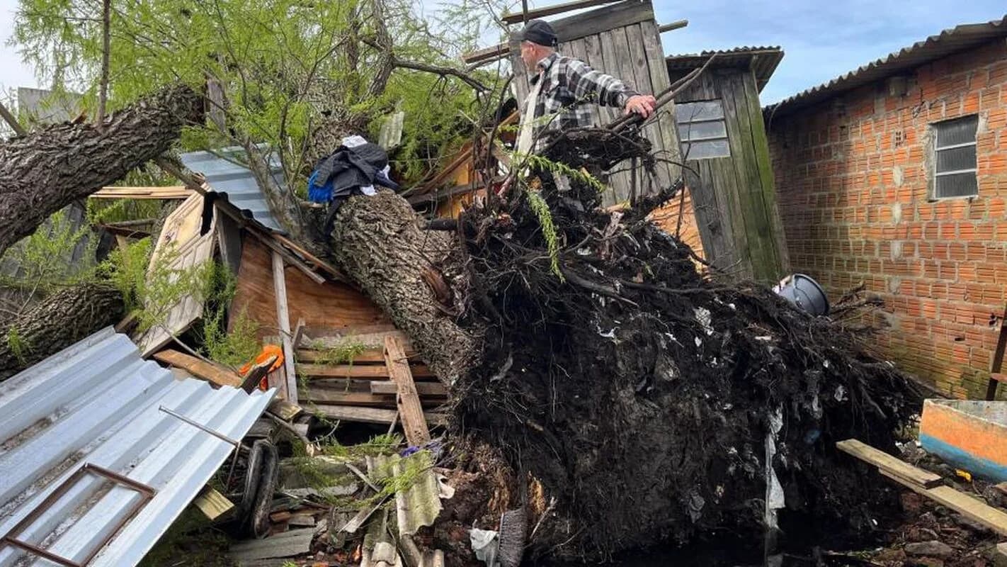 Morador remove destroços de árvore caída sobre casa após temporal no Rio Grande do Sul, foto de arquivo