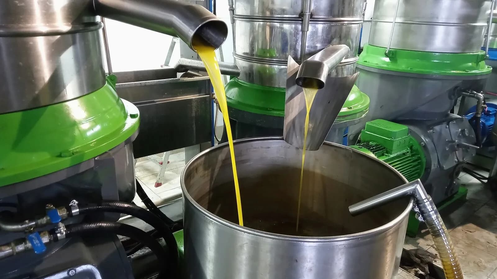 Azeite de oliva sendo despejado em recipiente de aço durante o processo de produção