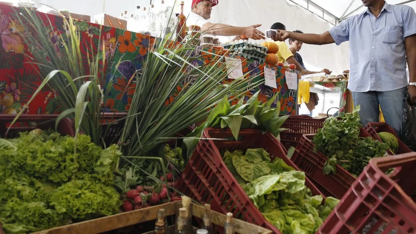 Vendedor entrega produto a cliente em feira livre
