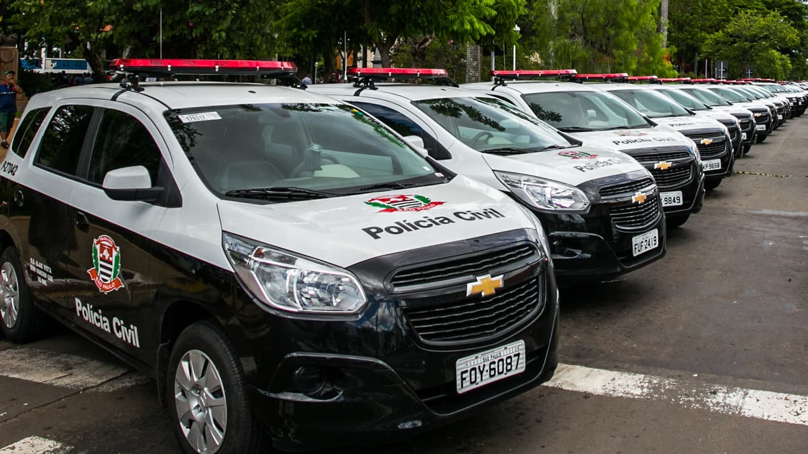 Fileira de viaturas da Polícia Civil de São Paulo estacionadas lado a lado, com o brasão do estado na lataria; imagem de arquivo