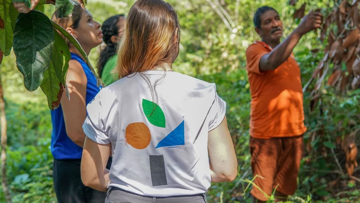 Trabalhadores em sistema agroflorestal na Amazônia, com plantio em meio à vegetação nativa