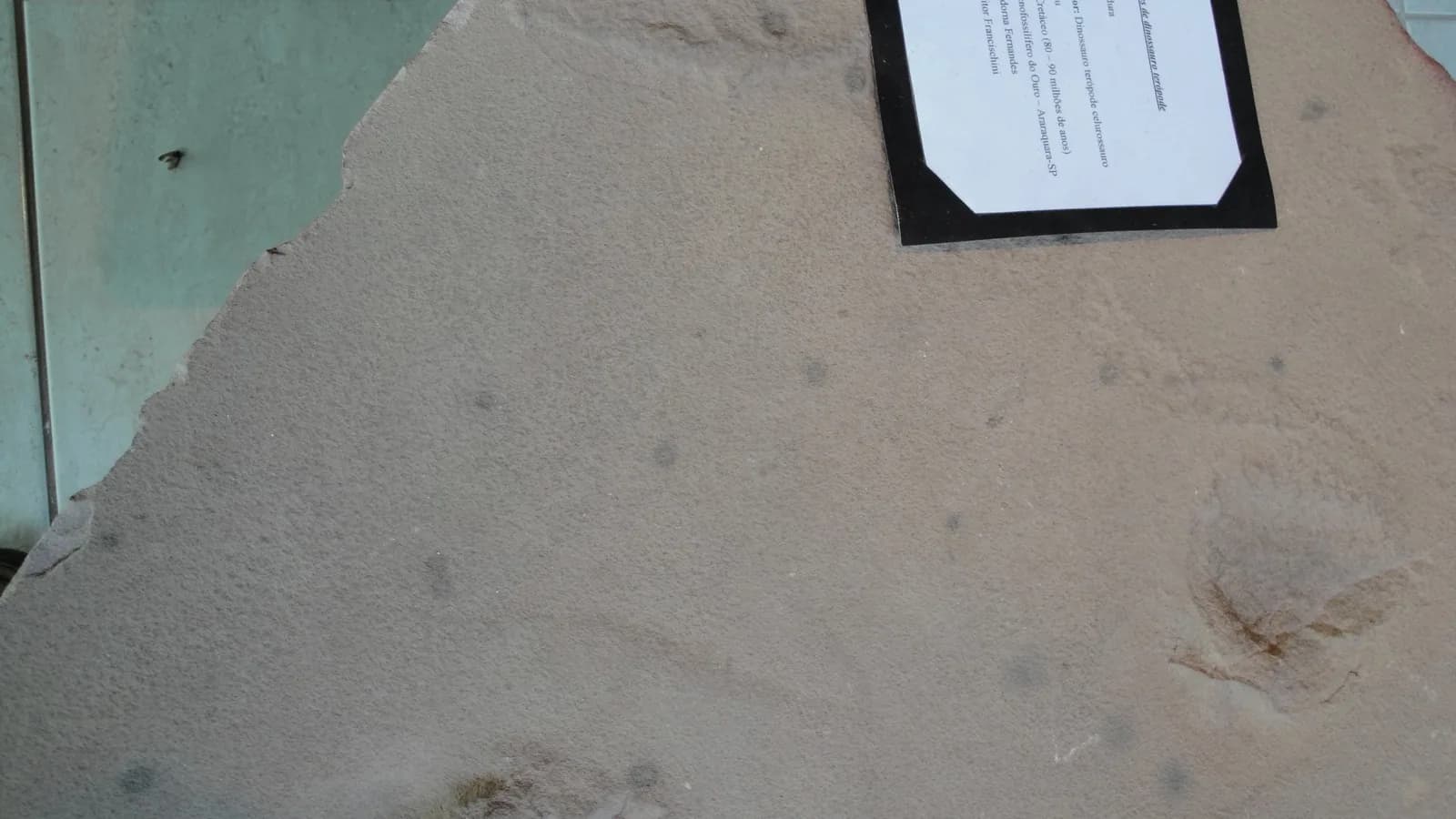 Placa fossilizada com pegadas de dinossauro terópode da Formação Botucatu, exposta em museu de Araraquara (SP), foto ilustrativa