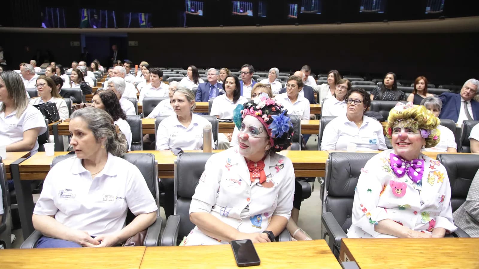Voluntárias vestidas de palhaças, com nariz vermelho e perucas coloridas, sentadas em homenagem ao Hospital Amaral Carvalho na Câmara dos Deputados