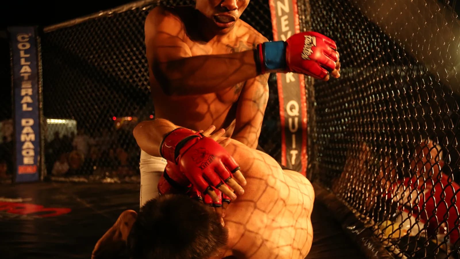 Lutadores de MMA em combate dentro do octógono (foto de contexto)