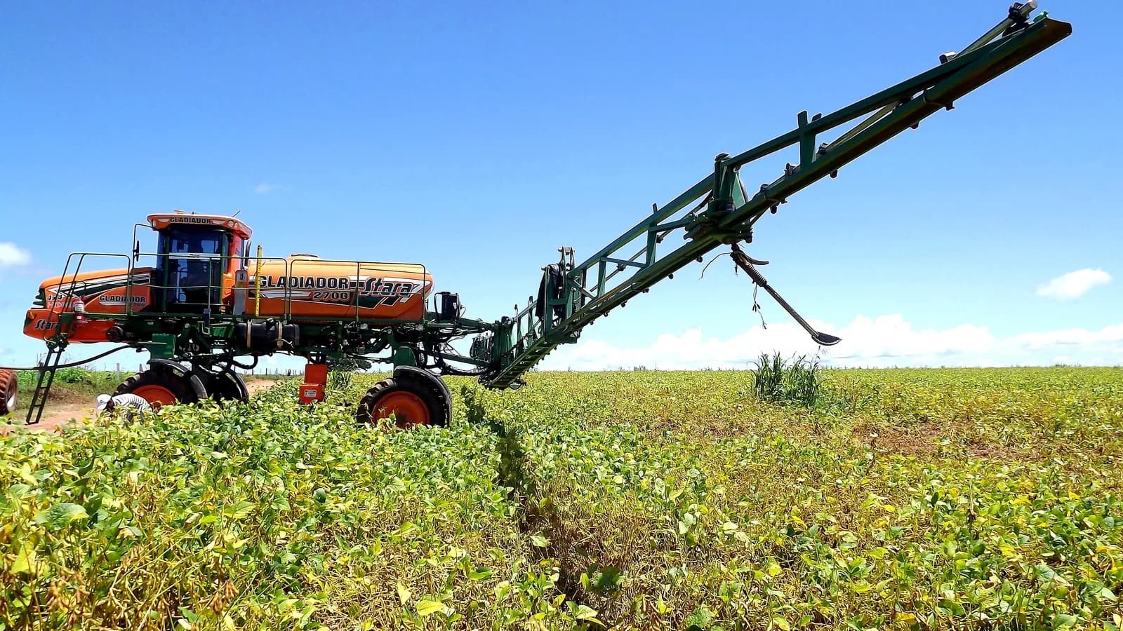 Lavoura de soja na região de Paracatu, no Noroeste de Minas Gerais