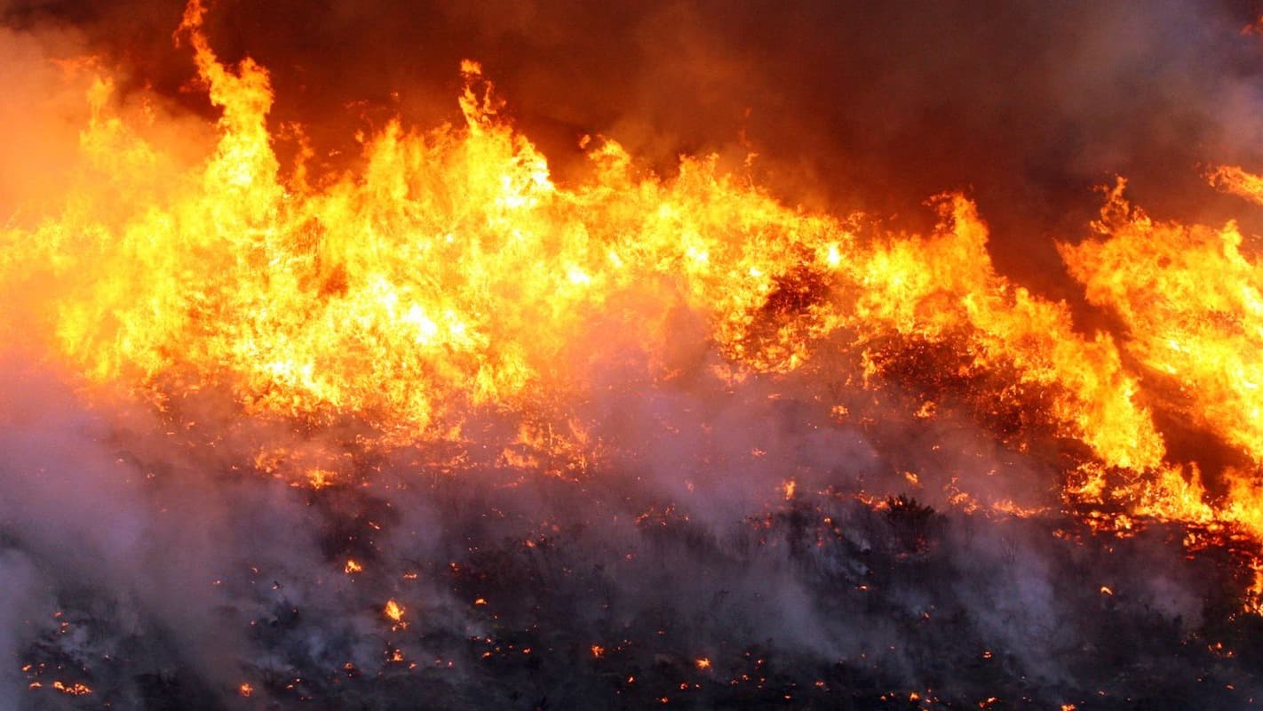Linha de fogo avança sobre a vegetação, com fumaça densa ao redor das chamas; imagem de arquivo