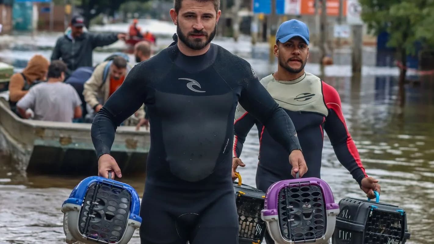Voluntários em roupa de mergulho carregam caixas de transporte de animais em área alagada