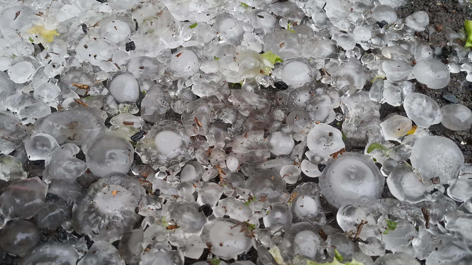 Pedras de granizo acumuladas no chão após temporal — imagem de arquivo, ilustrativa