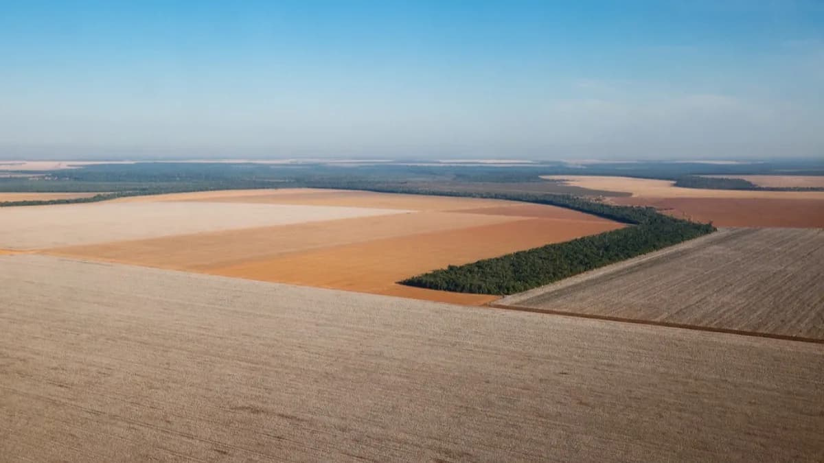 Vista aérea de lavoura agrícola no Centro-Oeste do Brasil, imagem de arquivo de 2017 associada à abertura da colheita de algodão