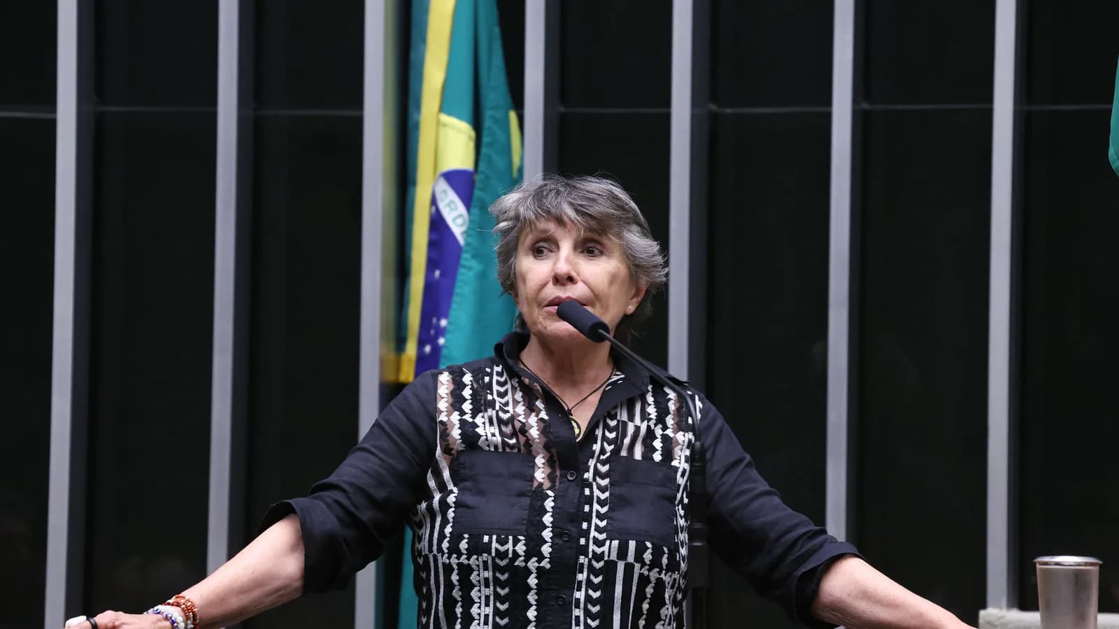 Erika Kokay discursa na tribuna da Câmara dos Deputados, com a bandeira do Brasil ao fundo