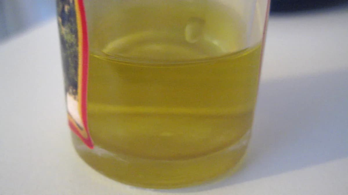 Copo com azeite de oliva gaúcho sendo servido