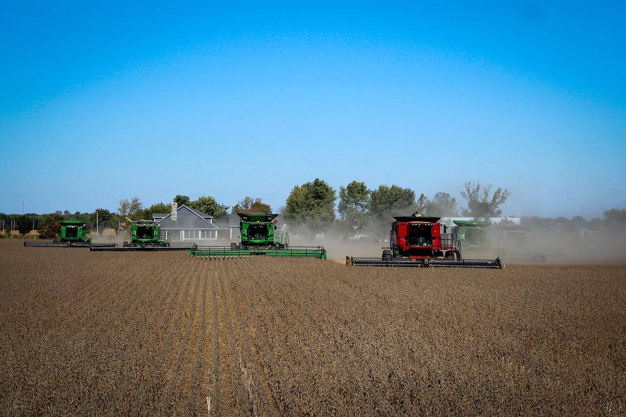 Agro enfrenta alta de juros e desafios climáticos; pedidos de recuperação judicial aumentam