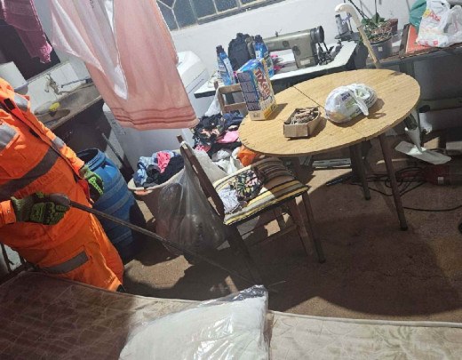Família se surpreende ao encontrar jararaca embaixo de mesa