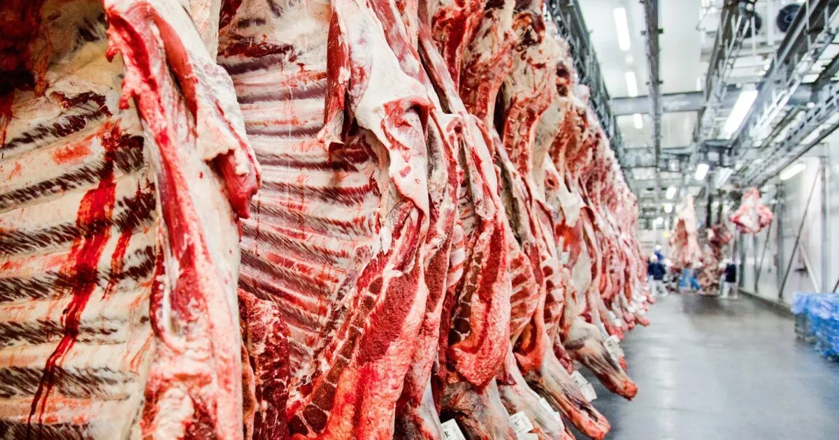 Tarifa de 50% dos EUA deve impactar preço da carne no Brasil, diz pesquisador
