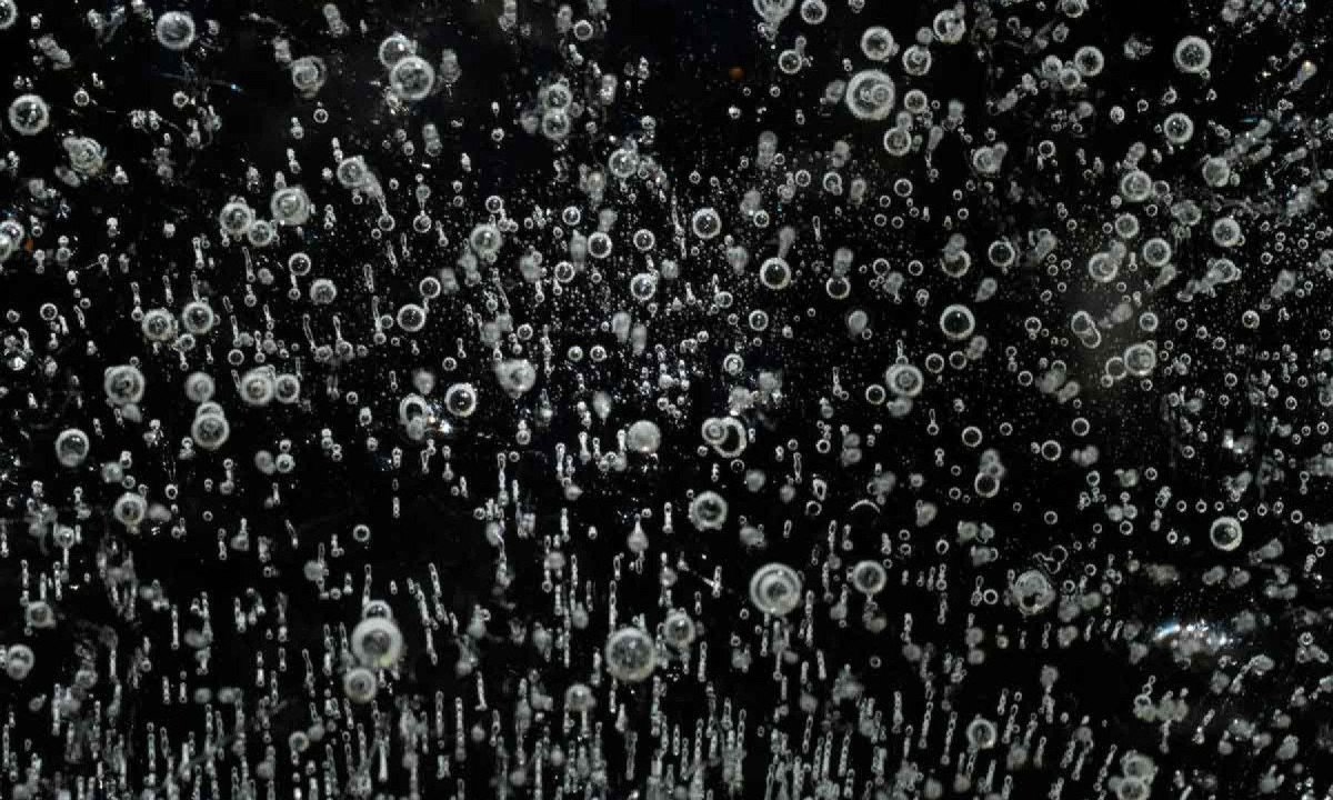 Cao Guimarães apresenta a exposição 'Um grão de domingo' em Belo Horizonte