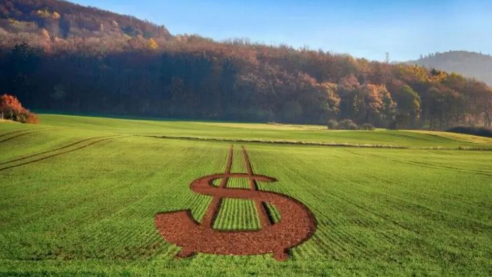 Agricultores familiares enfrentam maiores dificuldades que produtores ricos nas regras do governo