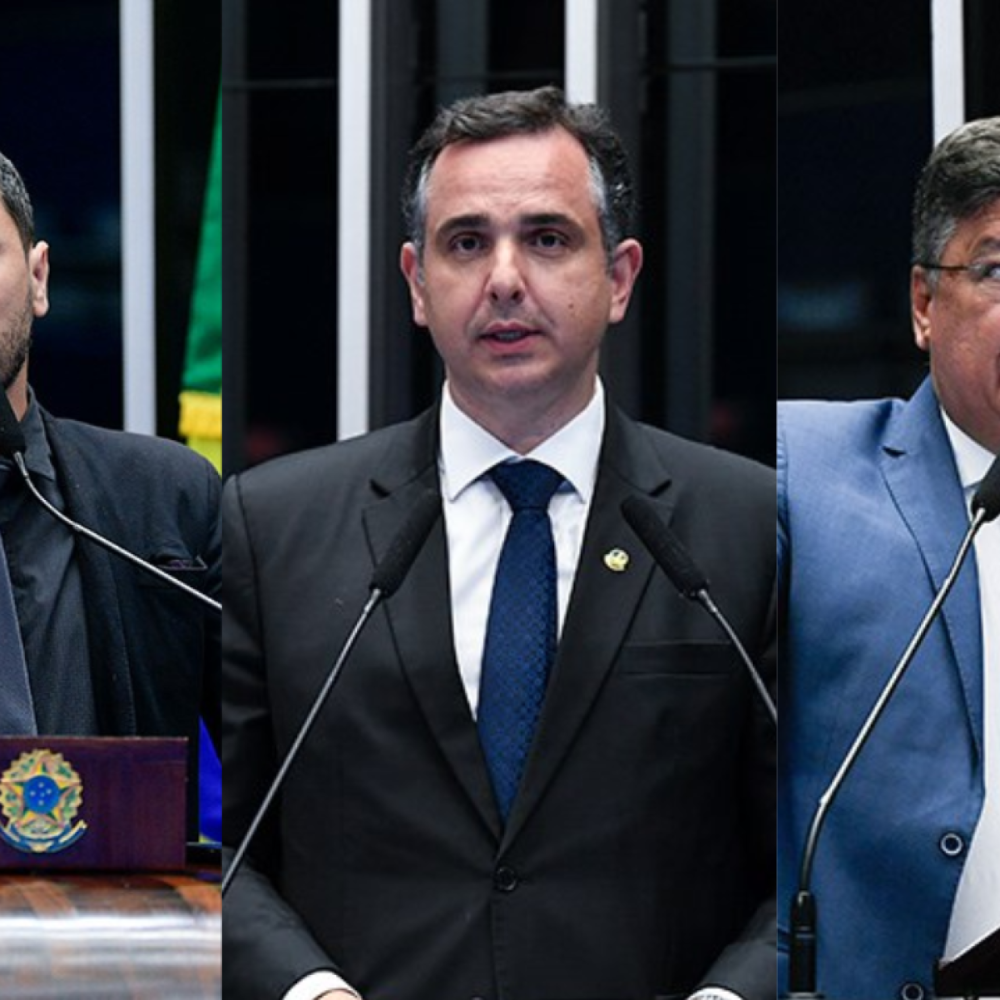 Senadores mineiros divergem sobre aumento de cadeiras na Câmara