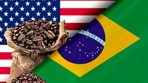 Alerta no mercado: tarifa de Trump causa instabilidade no preço do café