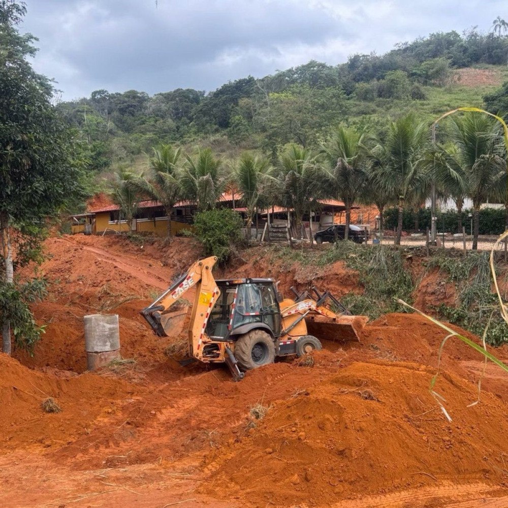 MG: cinco homens são detidos por crime em área de preservação ambiental