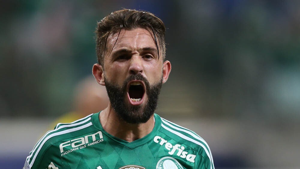 Campeão brasileiro pelo Palmeiras anuncia aposentadoria aos 30 anos