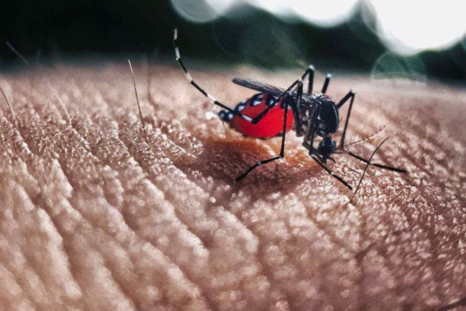 Minas Gerais investiga 11 novas mortes suspeitas por dengue