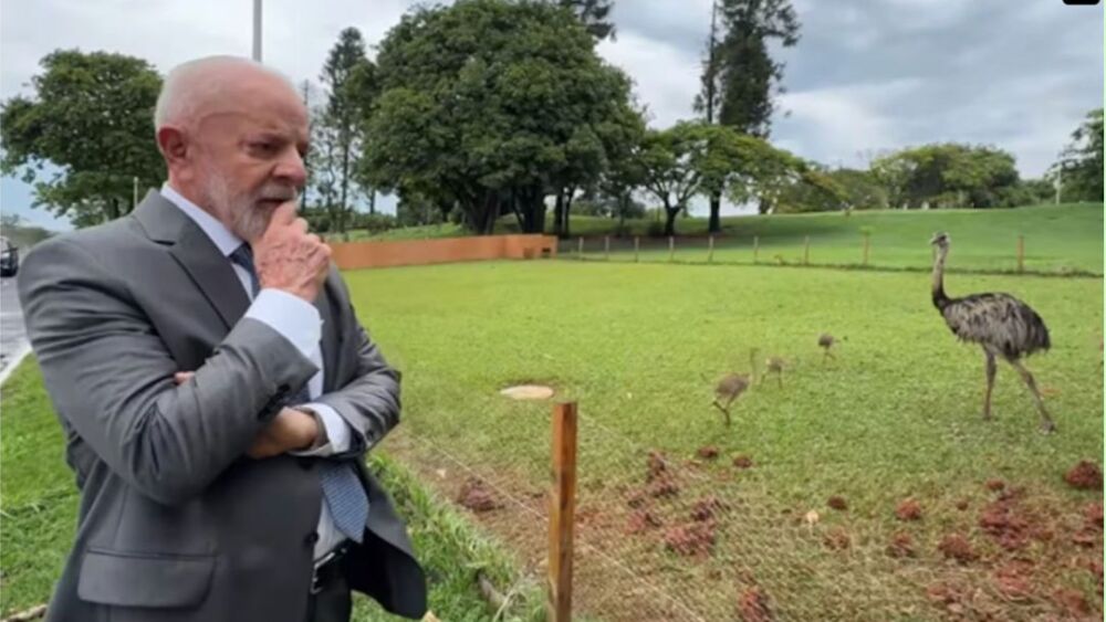 Governo federal se distancia do agronegócio, afirmam entidades do setor