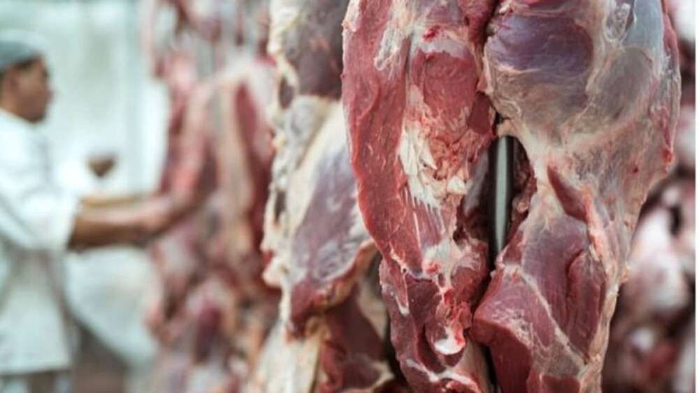 Exportação de carne bovina do Brasil cresce 50% em junho e registra alta de 27% no semestre