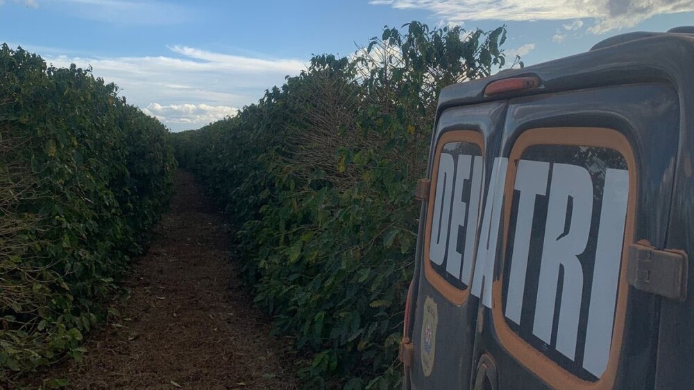 Trio é preso suspeito de roubar 120 toneladas de café em fazenda no interior de Minas