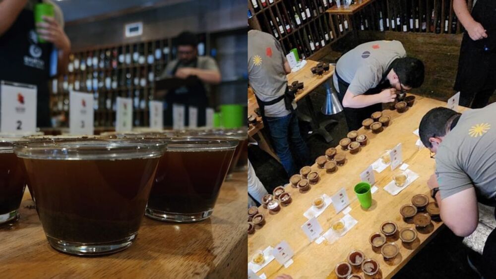 Concurso de Cafés de Minas: Emater abre inscrições para produtores