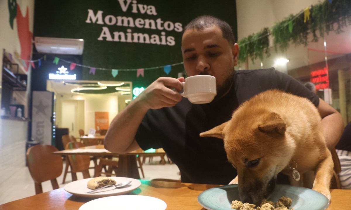 Todos são bem-vindos: restaurantes em BH servem tutores e pets
